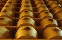 forma parmigiano